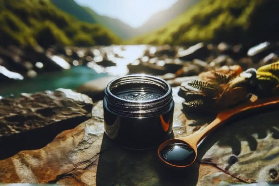 Mumijo Shilajit: What It Is, Benefits, and Traditional Uses