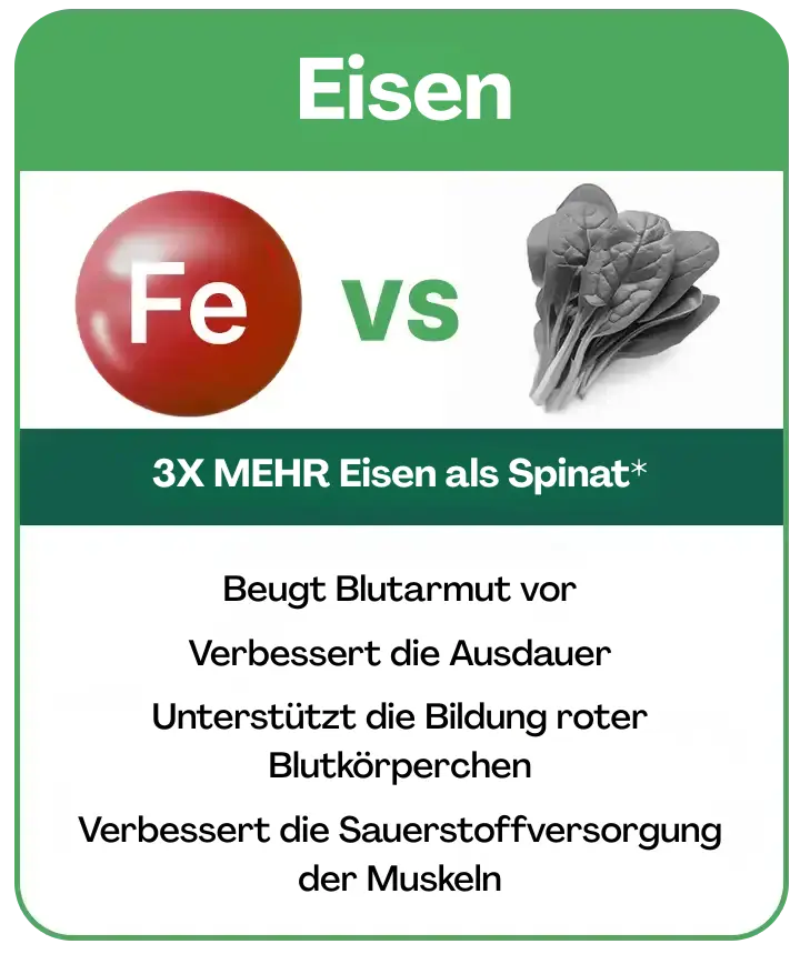 moringa energy nutrients