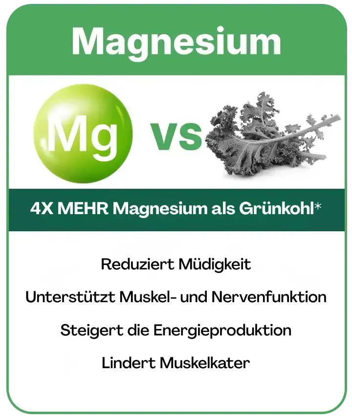 moringa energy nutrients