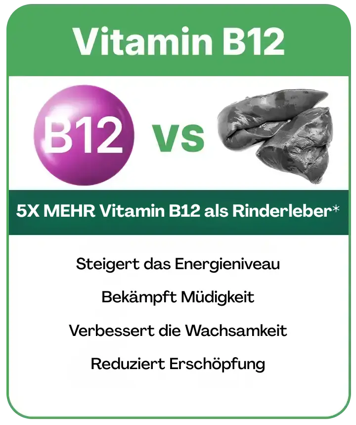 moringa energy nutrients