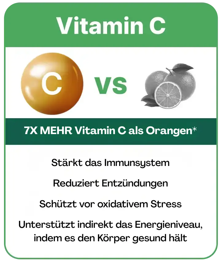 moringa energy nutrients