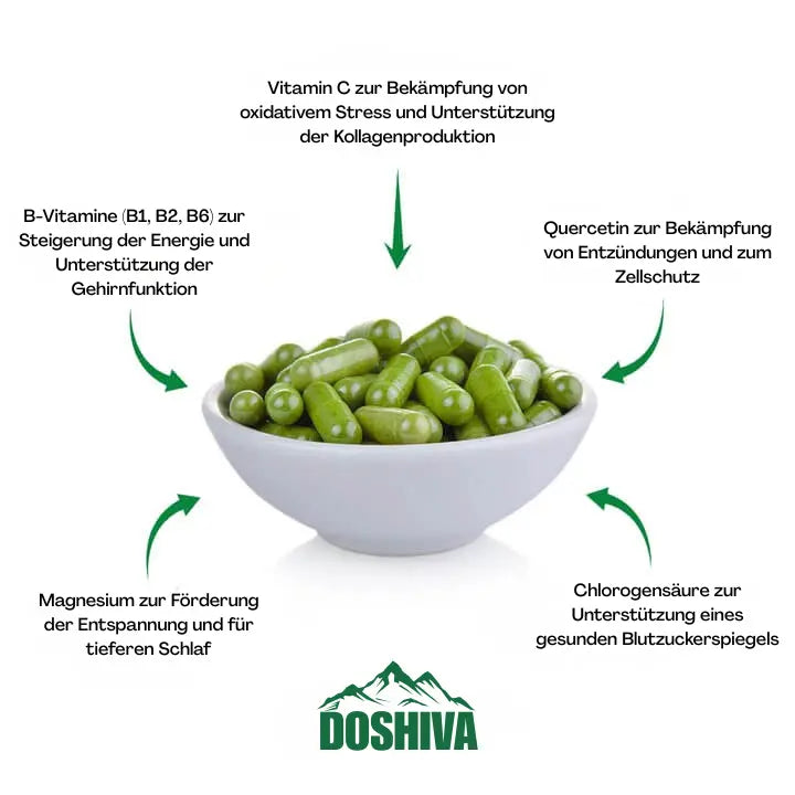 Moderne Ernährung macht uns mangelernährt