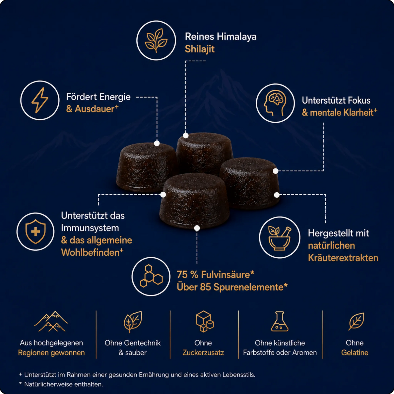 Doshiva® Himalayan Shilajit Gummies