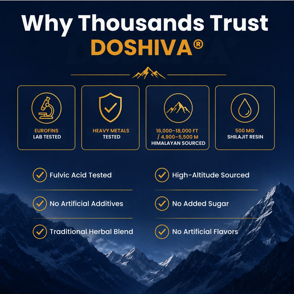 Reines Himalaya-Shilajit-Harz – Tägliche Unterstützung mit Mineralstoffen & Fulvosäure für Energie, Fokus & Vitalität | Doshiva