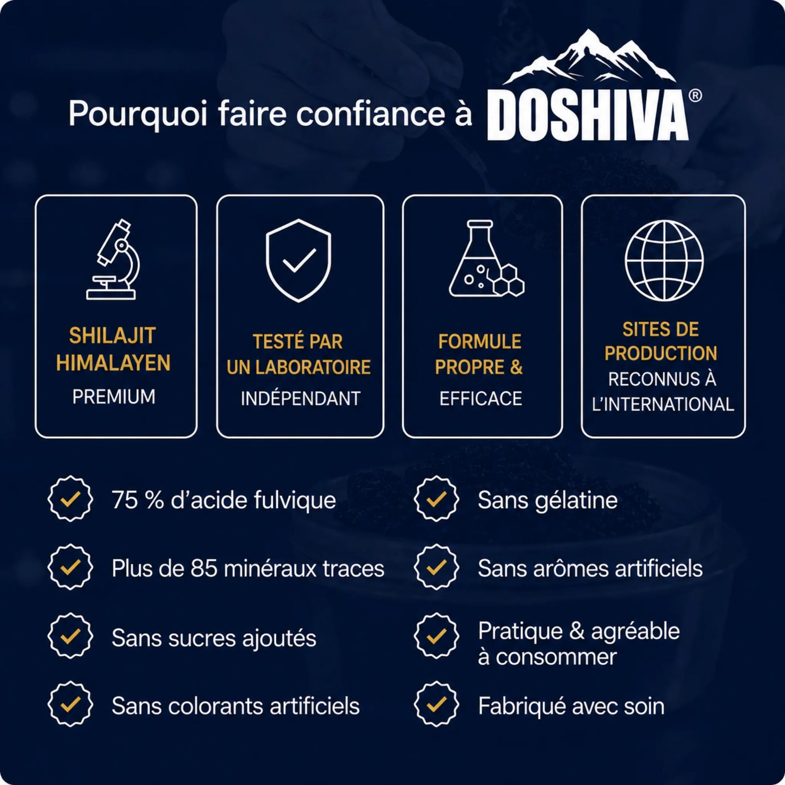 Doshiva® Gummies au Shilajit de l’Himalaya