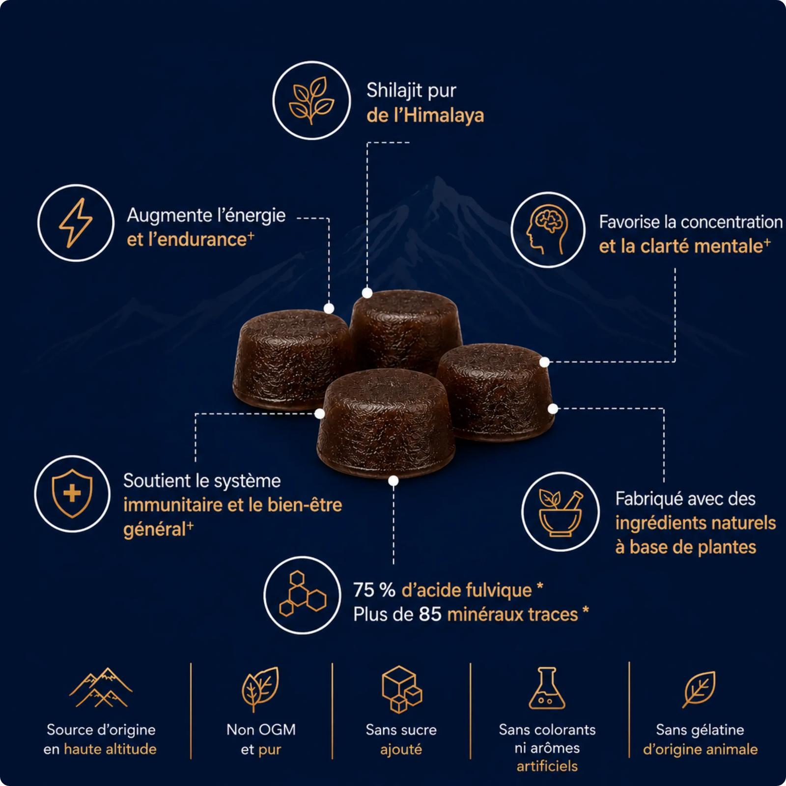 Doshiva® Gummies au Shilajit de l’Himalaya