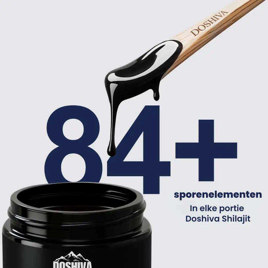 Doshiva Shilajit – Ondersteunt natuurlijk energie en vitaliteit met 84+ essentiële mineralen