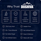 Doshiva® Himalayan Shilajit Gummies
