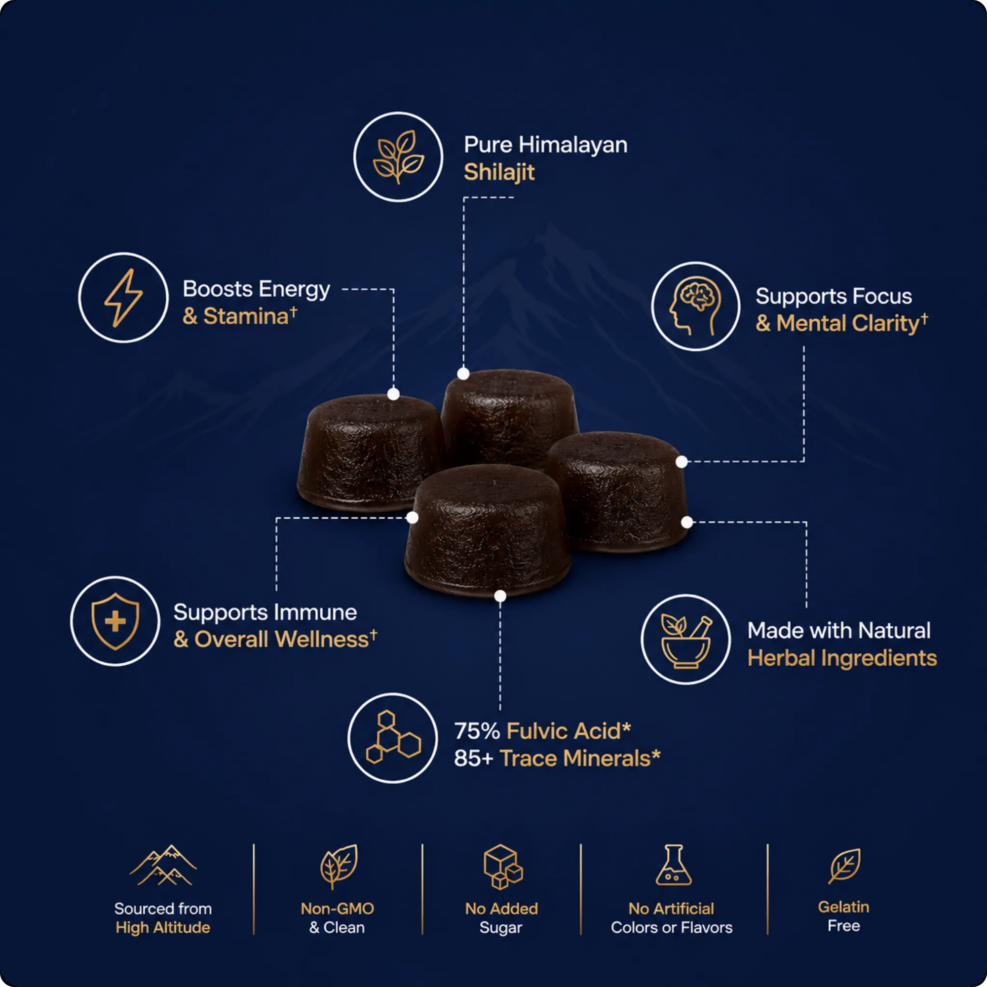 Doshiva® Himalayan Shilajit Gummies